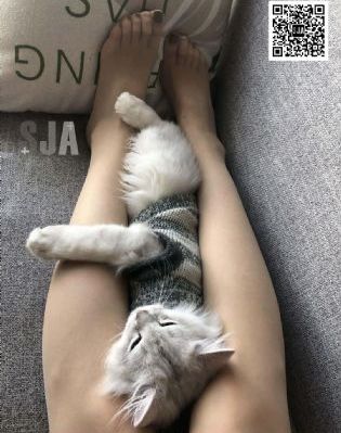 五十度灰2电影_蓝光超清免费观看